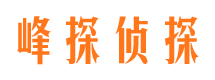 夏河市婚姻调查